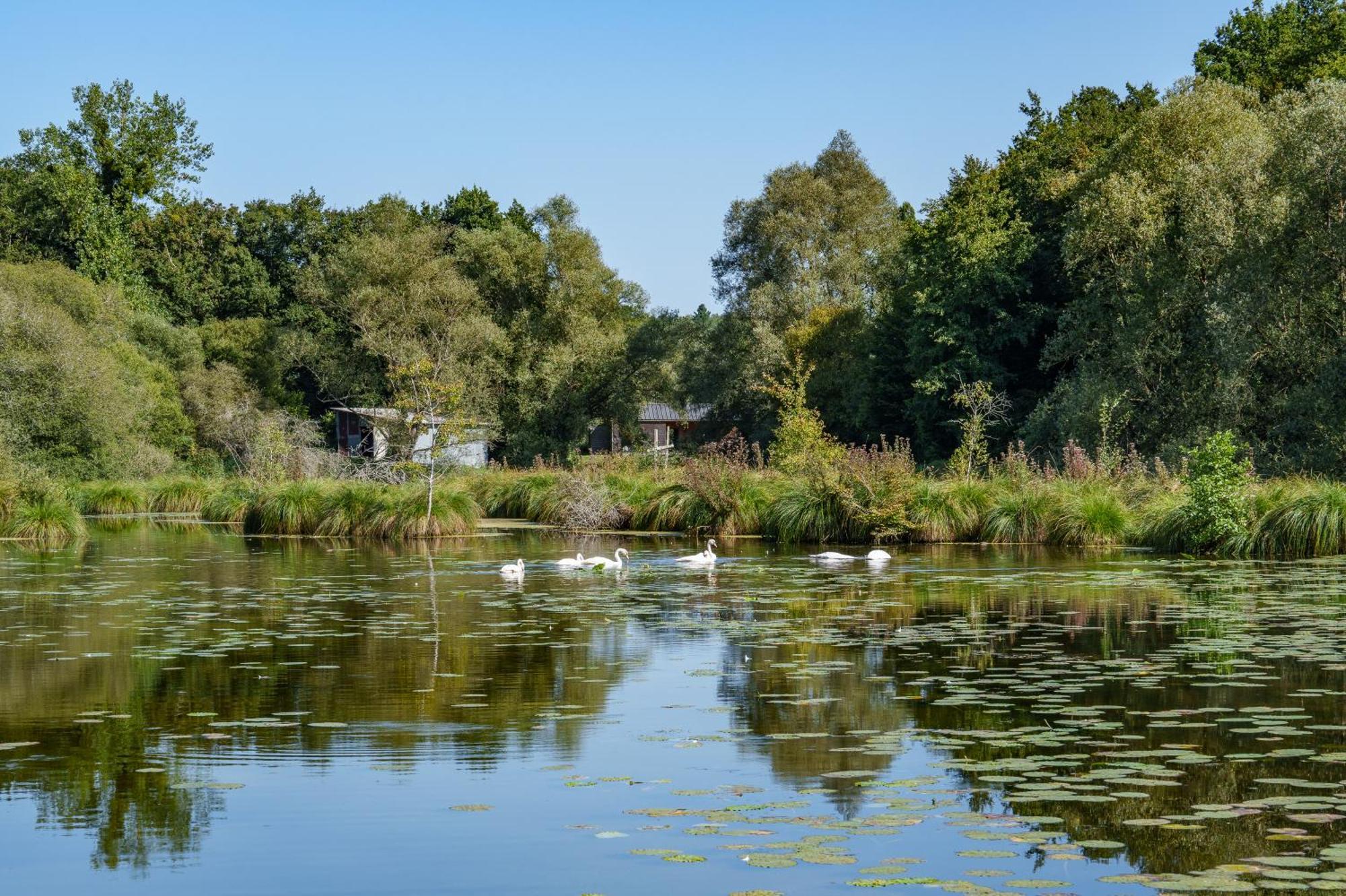 La Cabane Du Pont Du Douet Mazières-de-Touraine Exterior foto